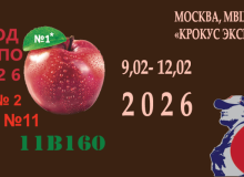 Со своим НА ВЫСТАВКЕ. 